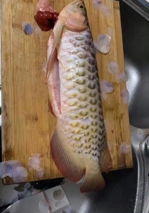 金龍魚煮多久能熟 金龍魚煮多久能熟 龍魚百科 第6張