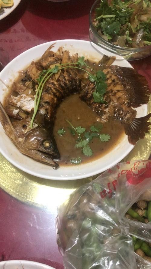 金龍魚煮多久能熟 金龍魚煮多久能熟 龍魚百科 第5張