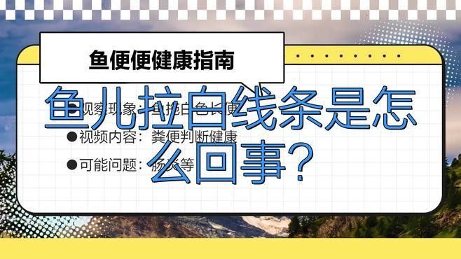 龍魚拉白便的原因有哪些？