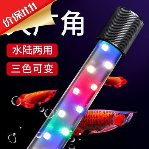 龍魚專用燈管哪個品牌好（選擇龍魚專用燈管需要考慮哪些問題） 龍魚專用燈管哪個品牌好（選擇龍魚專用燈管需要考慮哪些問題） 龍魚百科 第1張