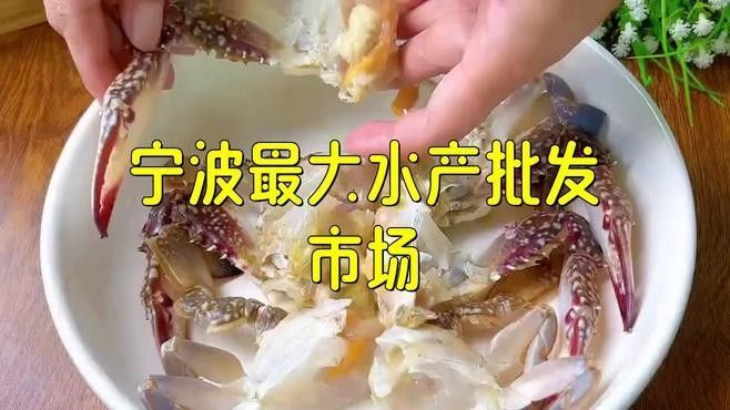 寧波還有哪些龍魚批發(fā)市場