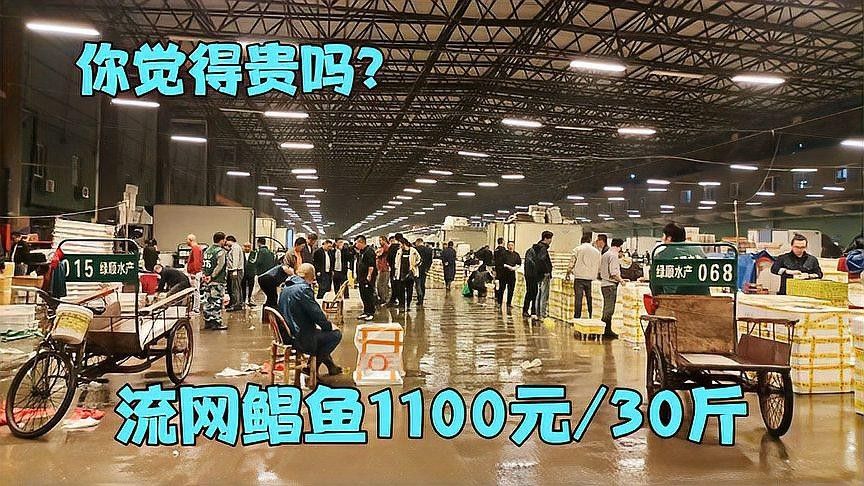 寧波還有哪些龍魚批發(fā)市場