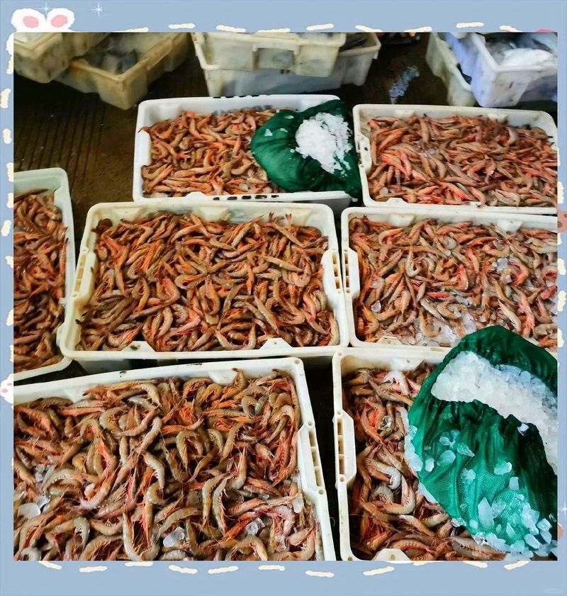 寧波還有哪些龍魚批發(fā)市場