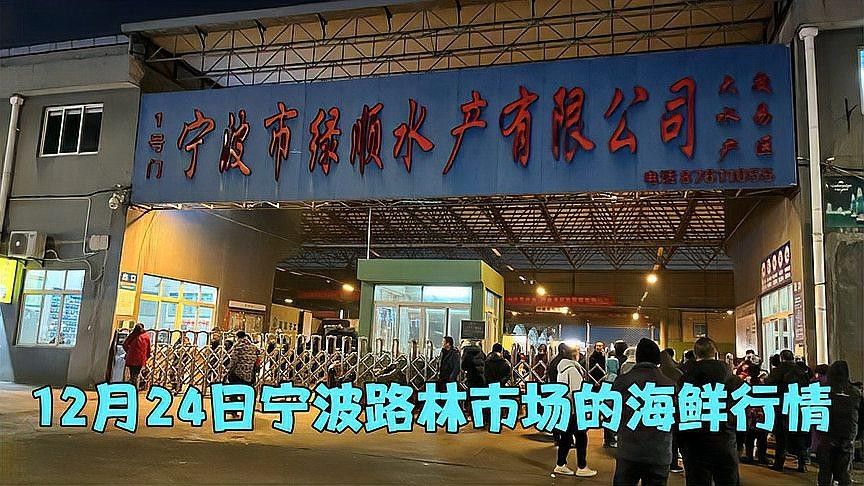 寧波還有哪些龍魚批發(fā)市場