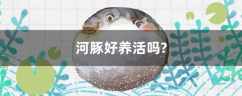 混養和諧