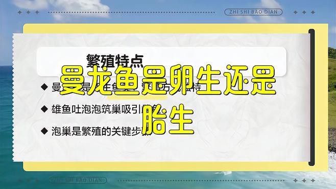 如何判斷曼龍魚是否處于繁殖期（怎么判斷曼龍魚是否處于繁殖期）
