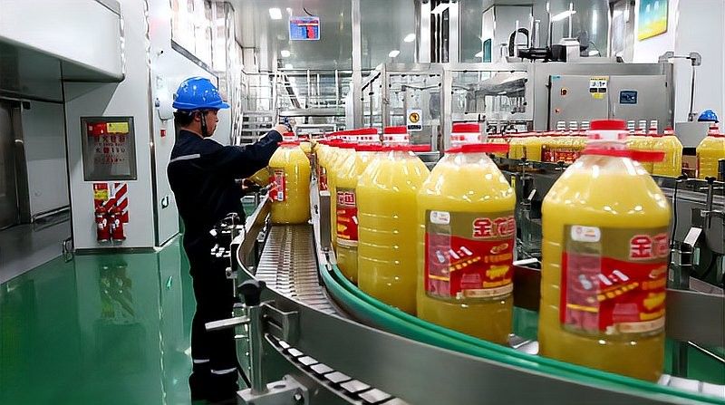 金龍魚調和油哪個生產基地最大（金龍魚總廠址在哪里）