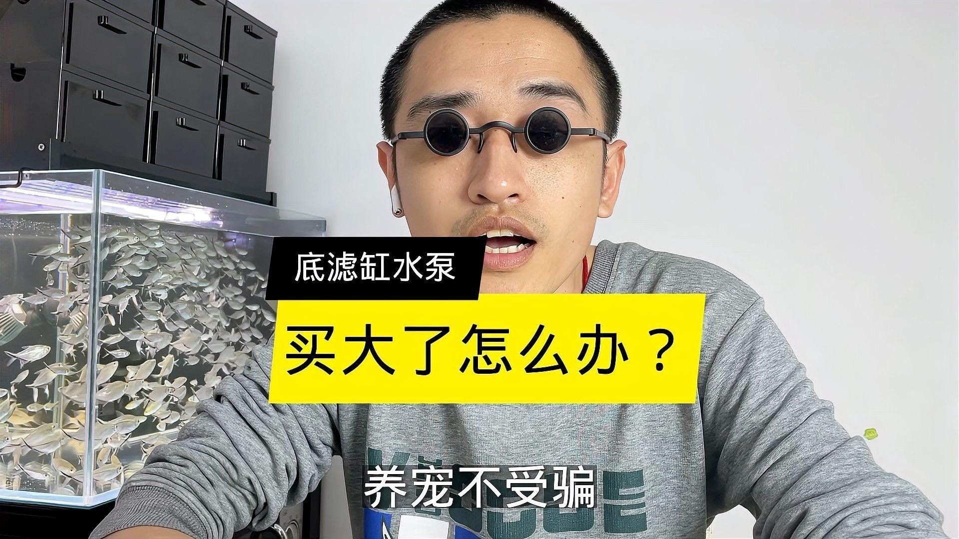 龍魚浮頭后多久會死亡啊：龍魚浮頭現象及其背后的原因