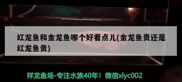 中國水族十大品牌：中國水族十大品牌排名