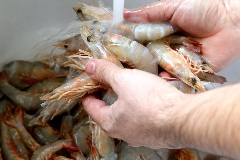 蒼南哪個(gè)水族館龍魚(yú)好？祥龍魚(yú)場(chǎng)龍魚(yú) 蒼南哪個(gè)水族館龍魚(yú)好？祥龍魚(yú)場(chǎng)龍魚(yú) 龍魚(yú)百科 第5張