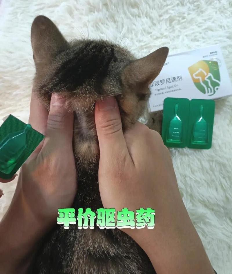 吡喹酮在哪里可以購買到？