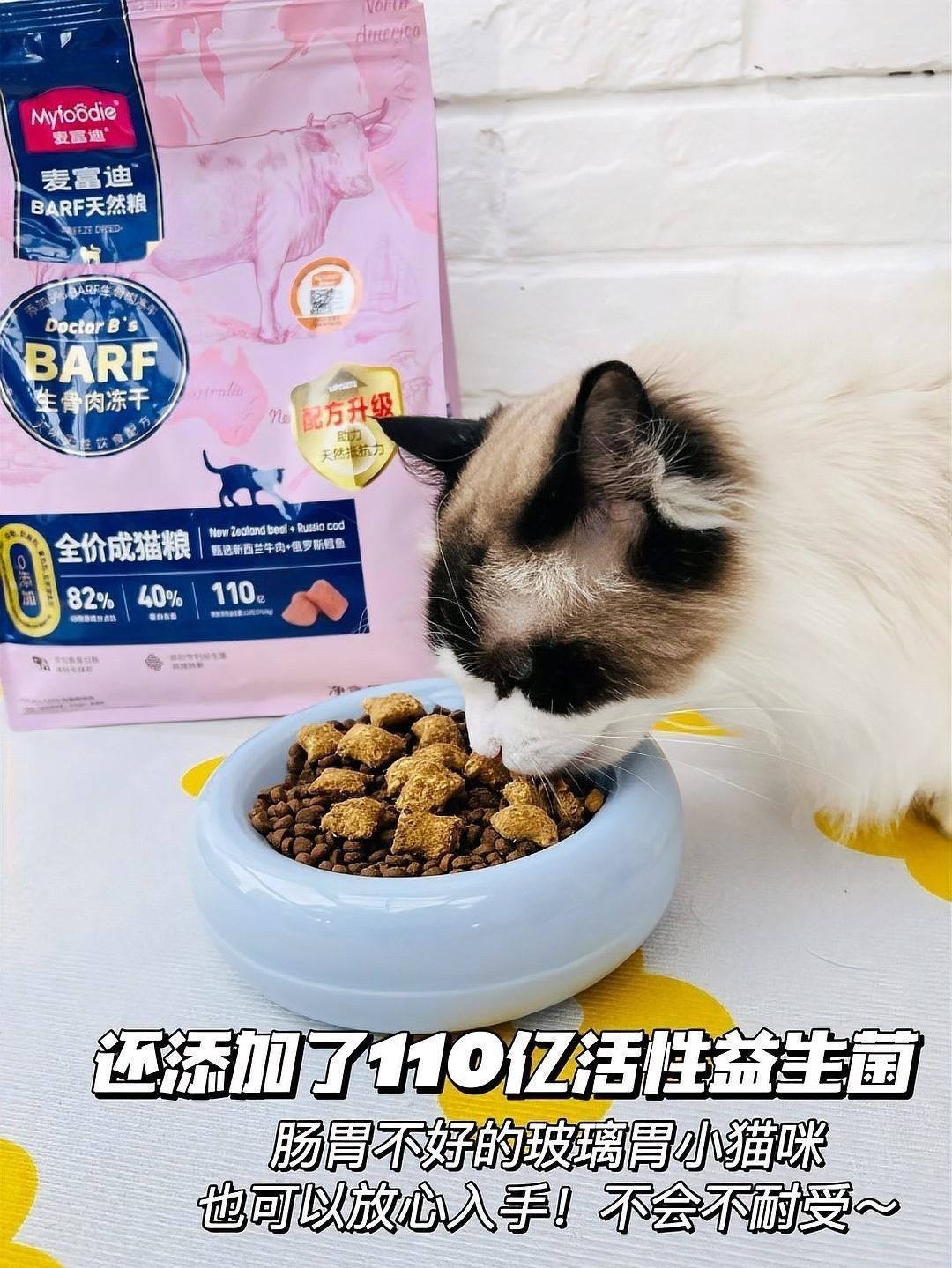 吡喹酮在哪里可以購買到？