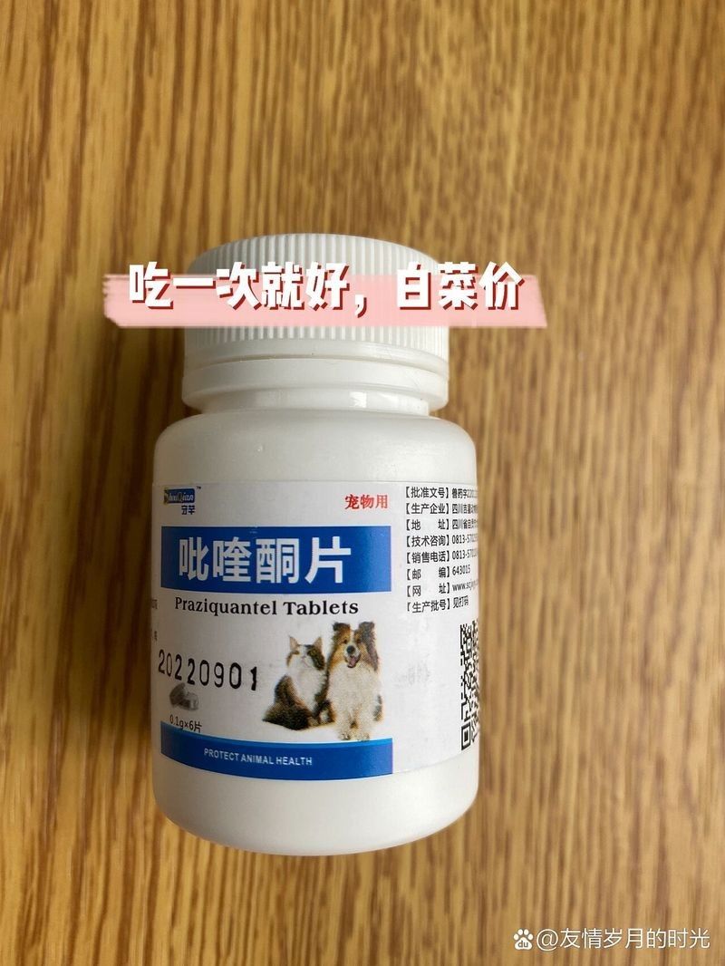 吡喹酮在哪里可以購買到？
