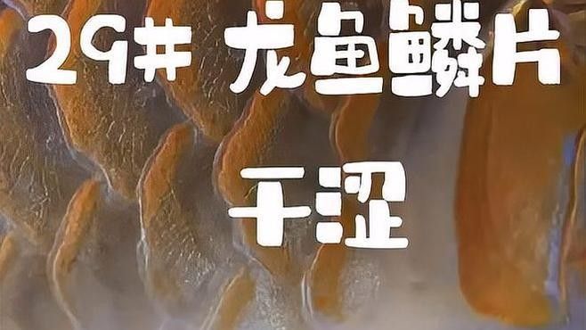 如何保養小龍魚的鱗片（如何保養小龍魚鱗片）