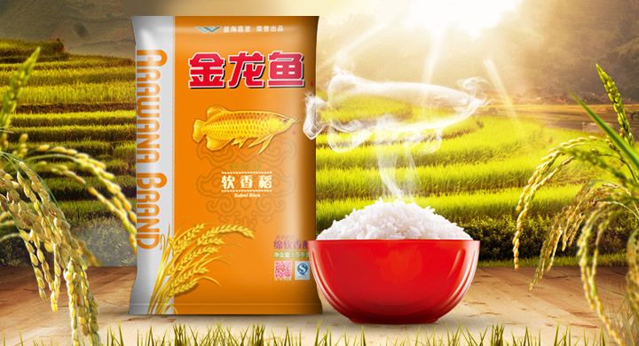 貴陽魚缸廠家地址在哪里呀