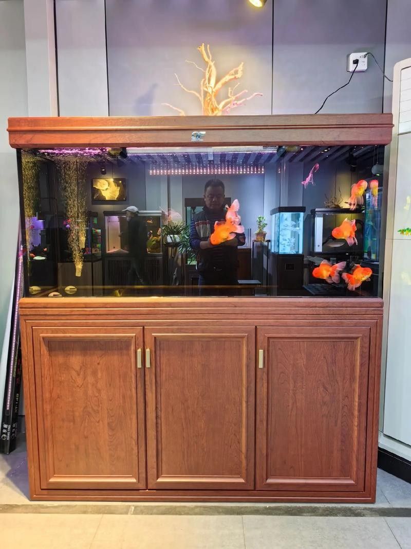 如何選擇適合龍魚的過濾器？