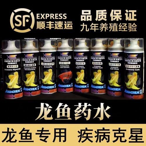 龍魚專用魚藥的價格范圍（龍魚專用魚藥價格范圍）