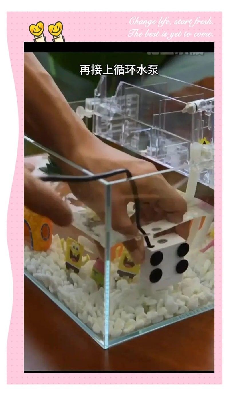 龍魚缸過濾器清洗后如何安裝（魚缸過濾器清洗后的安裝步驟） 龍魚缸過濾器清洗后如何安裝（魚缸過濾器清洗后的安裝步驟） 龍魚百科 第6張