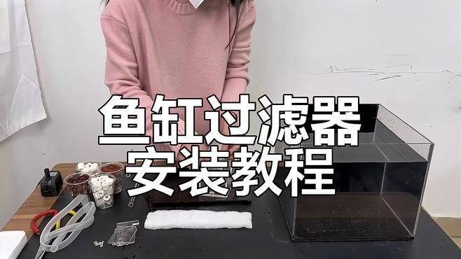龍魚缸過濾器清洗后如何安裝（魚缸過濾器清洗后的安裝步驟） 龍魚缸過濾器清洗后如何安裝（魚缸過濾器清洗后的安裝步驟） 龍魚百科 第1張