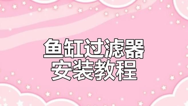 龍魚缸過濾器清洗后如何安裝（魚缸過濾器清洗后的安裝步驟） 龍魚缸過濾器清洗后如何安裝（魚缸過濾器清洗后的安裝步驟） 龍魚百科 第2張
