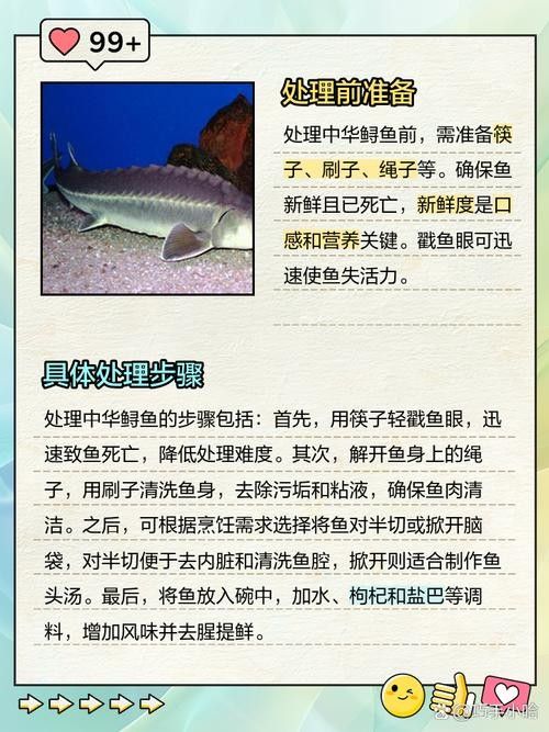 如何挑選新鮮的鱘龍魚？