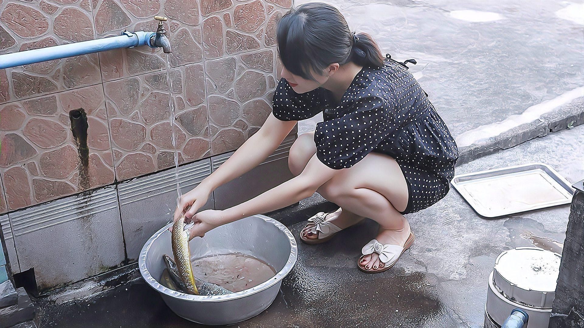 食用類大青龍魚有哪些品種？（大青龍魚的種類及種類介紹） 食用類大青龍魚有哪些品種？（大青龍魚的種類及種類介紹） 龍魚百科 第8張
