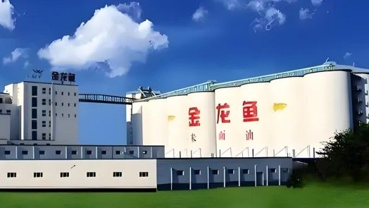 金龍魚大區經理招聘條件是什么（金龍魚區域經理招聘(工資待遇要求)職友集） 金龍魚大區經理招聘條件是什么（金龍魚區域經理招聘(工資待遇要求)職友集） 龍魚百科 第2張