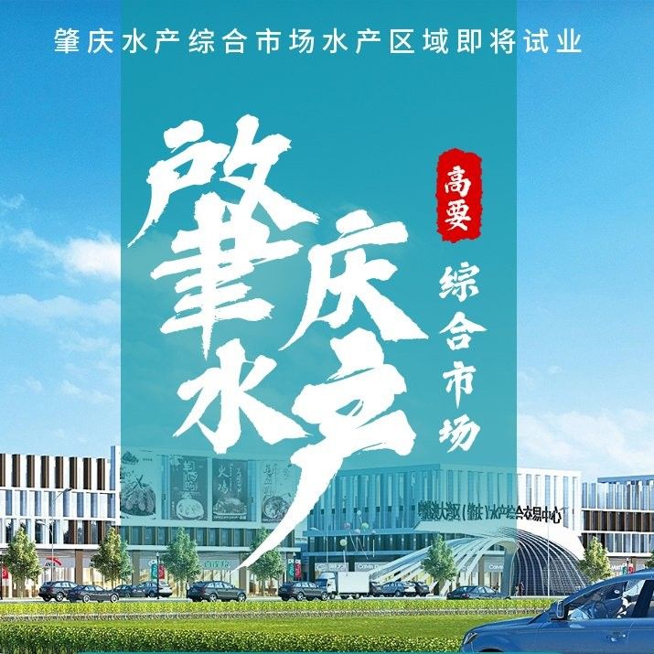 肇東哪個水族館龍魚好？祥龍魚場龍魚（8月18日肇慶龍魚繁殖漁場(祥龍魚場） 肇東哪個水族館龍魚好？祥龍魚場龍魚（8月18日肇慶龍魚繁殖漁場(祥龍魚場） 龍魚百科 第7張