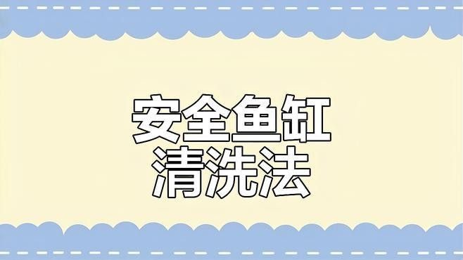 清洗魚缸時需要注意什么？（天山可可，如何正確清洗魚缸）