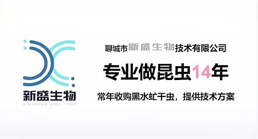 面包蟲多久蛻一次殼（面包蟲養殖技術詳解）