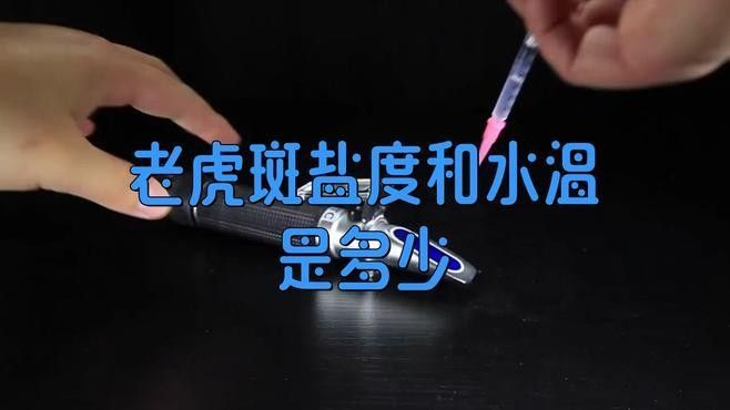 虎斑恐龍魚繁殖溫度多少合適（虎斑恐龍魚的最佳繁殖水溫是多少？） 虎斑恐龍魚繁殖溫度多少合適（虎斑恐龍魚的最佳繁殖水溫是多少？） 龍魚百科 第1張