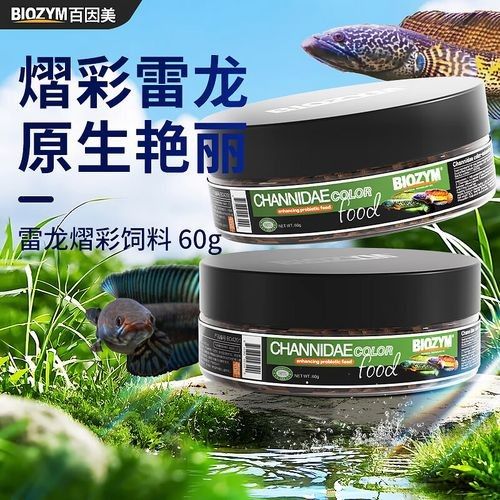 哪些飼料適合雷龍魚