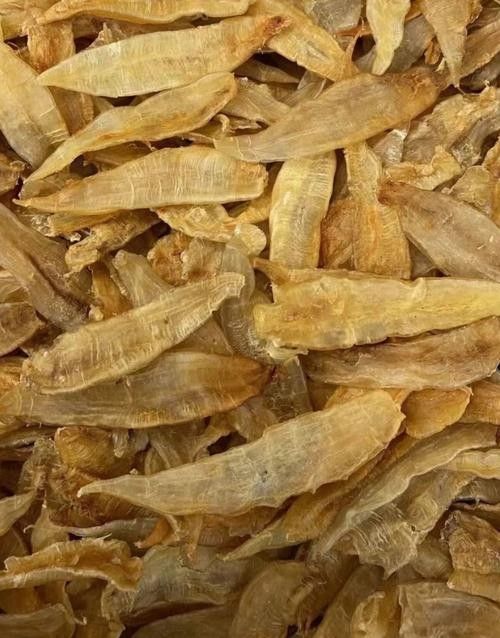 金龍魚工裝的面料是什么（金龍魚工裝的面料如何保養(yǎng)？）