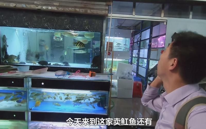 廣州龍魚市場的交通情況（廣州龍魚市場交通情況）
