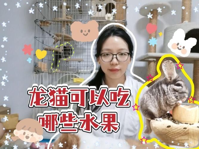 龍貓可以吃哪些水果（龍貓可以吃哪些新鮮水果）