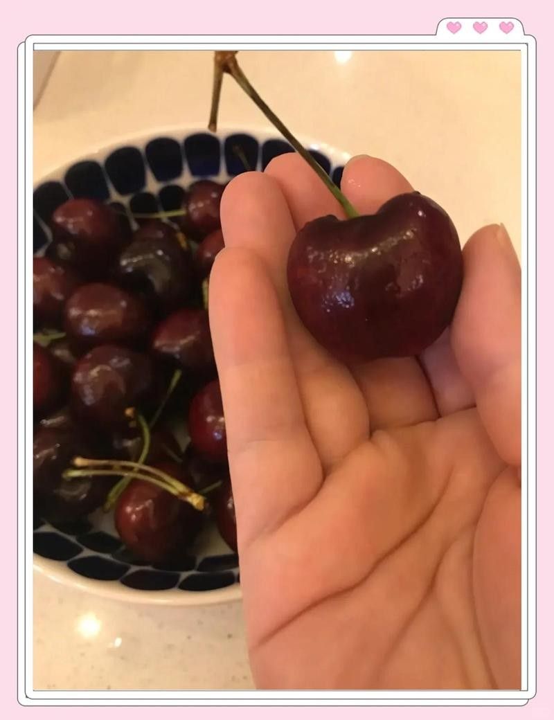龍貓可以吃哪些水果（龍貓可以吃哪些新鮮水果）