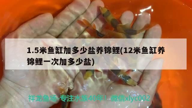 1.5米魚缸加多少鹽養(yǎng)錦鯉(12米魚缸養(yǎng)錦鯉一次加多少鹽)（1.5米魚缸加多少鹽養(yǎng)錦鯉） 1.5米魚缸加多少鹽養(yǎng)錦鯉(12米魚缸養(yǎng)錦鯉一次加多少鹽)（1.5米魚缸加多少鹽養(yǎng)錦鯉） 觀賞魚百科