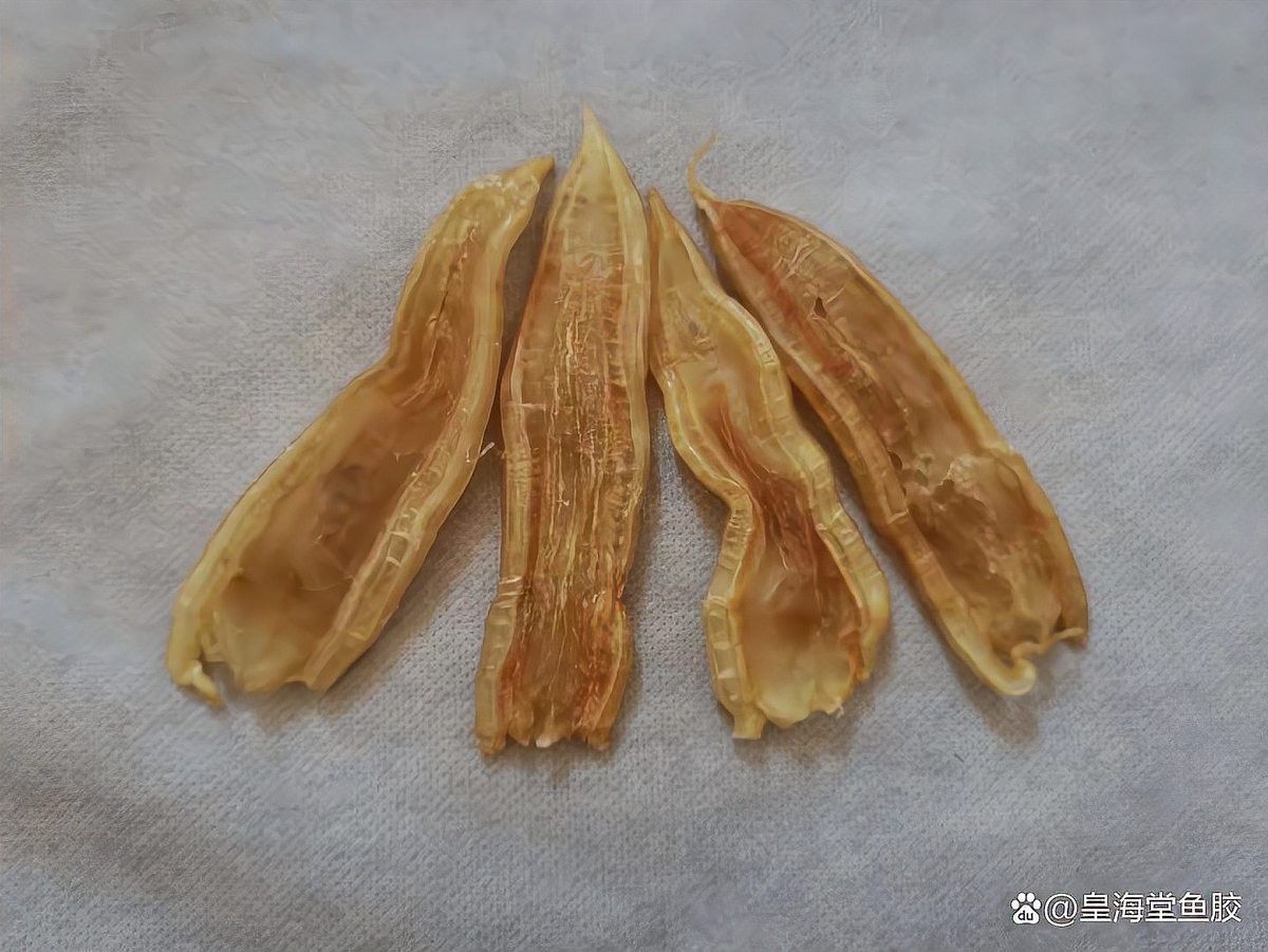 金龍魚膠和北海魚膠的價(jià)格差異大嗎？（金龍魚膠和北海魚膠價(jià)格是多少一斤看完這幾點(diǎn)你就明白）