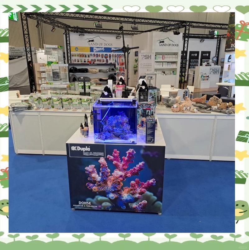 2021年上海水族展有哪些創(chuàng)新產(chǎn)品？（2021年上海國際水族展的創(chuàng)新產(chǎn)品和技術(shù)）