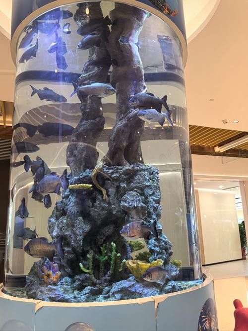 2021年上海水族展有哪些創(chuàng)新產(chǎn)品？（2021年上海國際水族展的創(chuàng)新產(chǎn)品和技術(shù)）