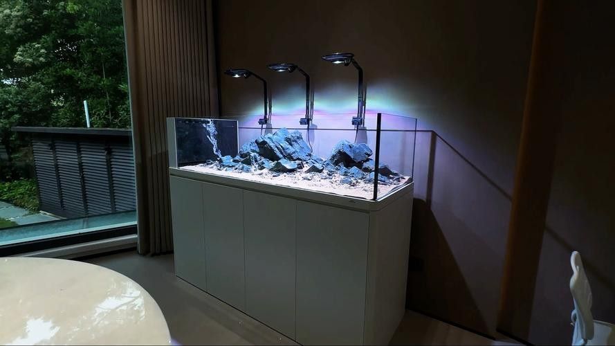 2021年上海水族展有哪些創(chuàng)新產(chǎn)品？（2021年上海國際水族展的創(chuàng)新產(chǎn)品和技術(shù)）