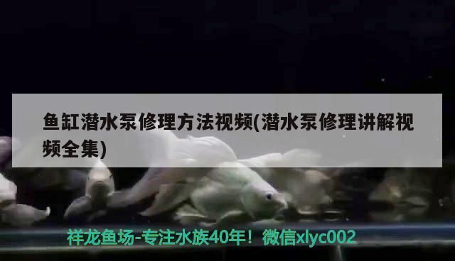 魚缸潛水泵修理方法視頻(潛水泵修理講解視頻全集)（關(guān)于魚缸潛水泵修理方法視頻）