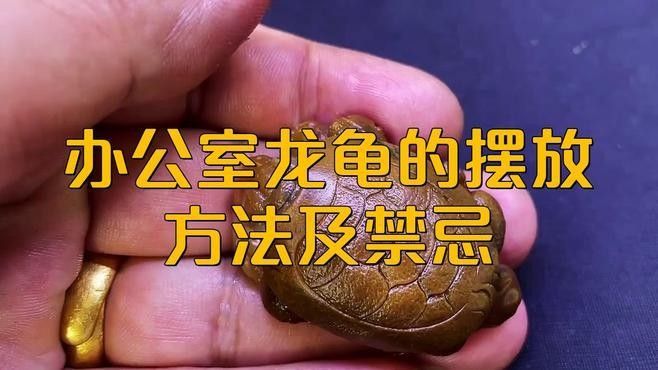 龍龜清潔后如何擺放（如何正確清潔并擺放龍龜）