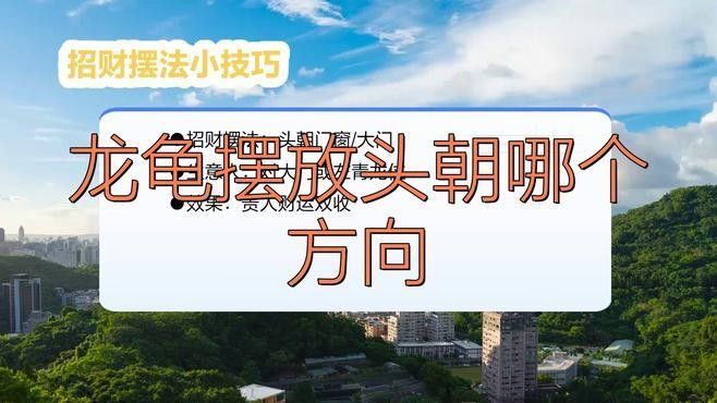 龍龜清潔后如何擺放（如何正確清潔并擺放龍龜）