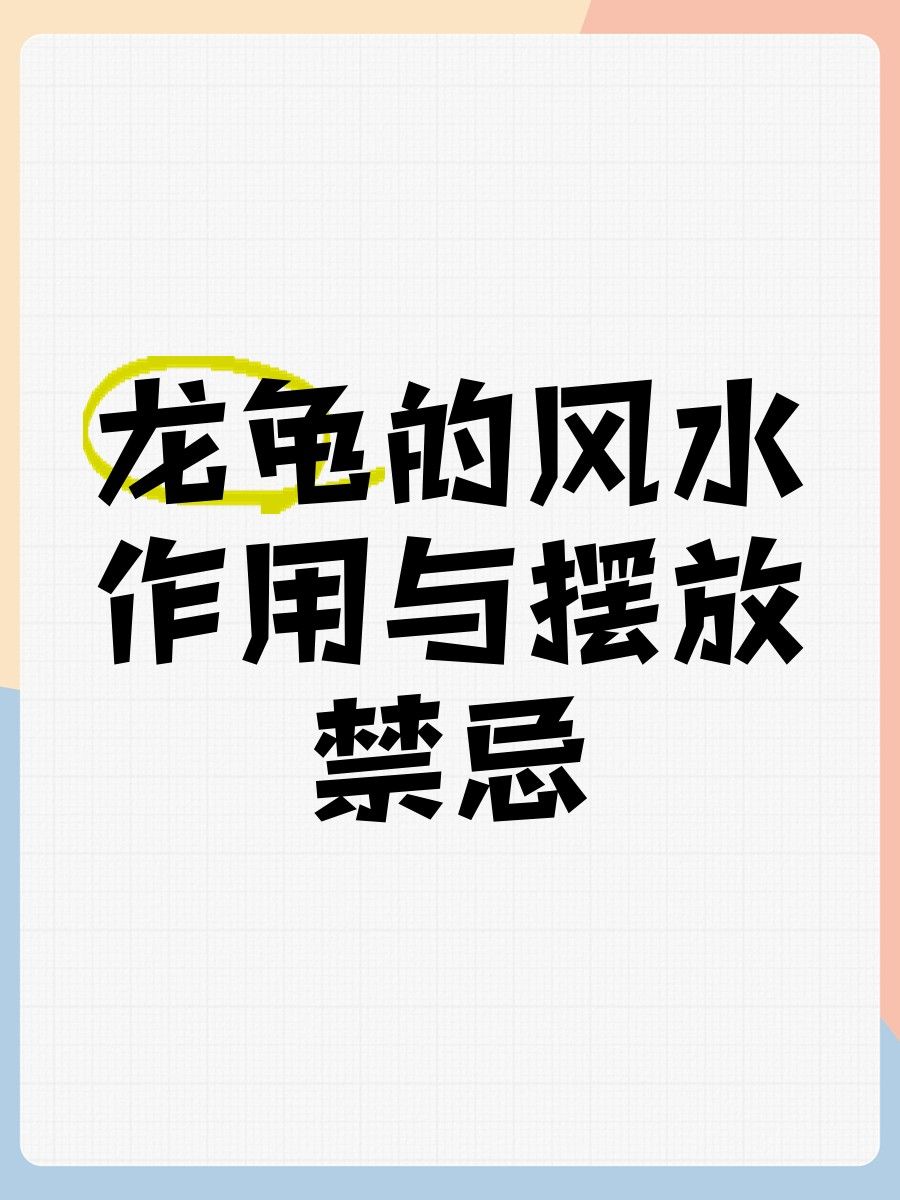 龍龜清潔后如何擺放（如何正確清潔并擺放龍龜）