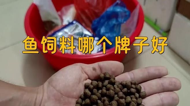 哪種增色飼料品牌最好？（京東增色魚食飼料品牌排行榜京東增色飼料品牌排行榜）