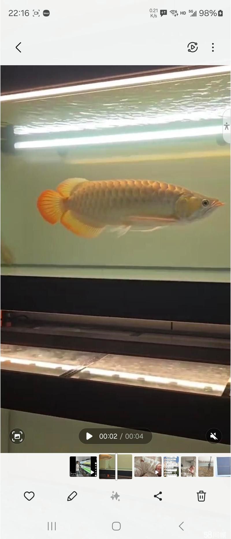 58同城上如何搜索龍魚交流群（58同城搜索龍魚交流群）