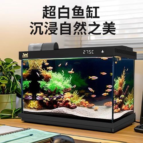 如何選擇合適的魚缸品牌？（魚缸品牌怎么選最新款魚缸品牌推薦及選購指南）