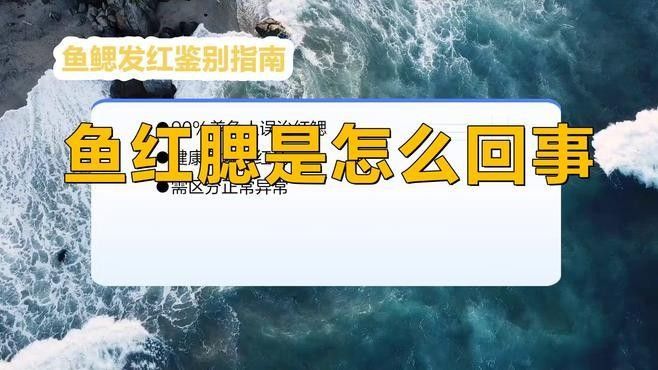 如何判斷紅老虎魚是否健康（怎樣判斷紅老虎魚是否健康） 如何判斷紅老虎魚是否健康（怎樣判斷紅老虎魚是否健康） 龍魚百科 第8張
