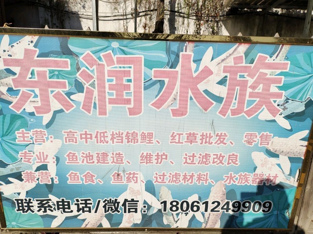 雨花臺哪個水族館龍魚好？祥龍魚場龍魚（南京花臺區(qū)祥龍魚場）